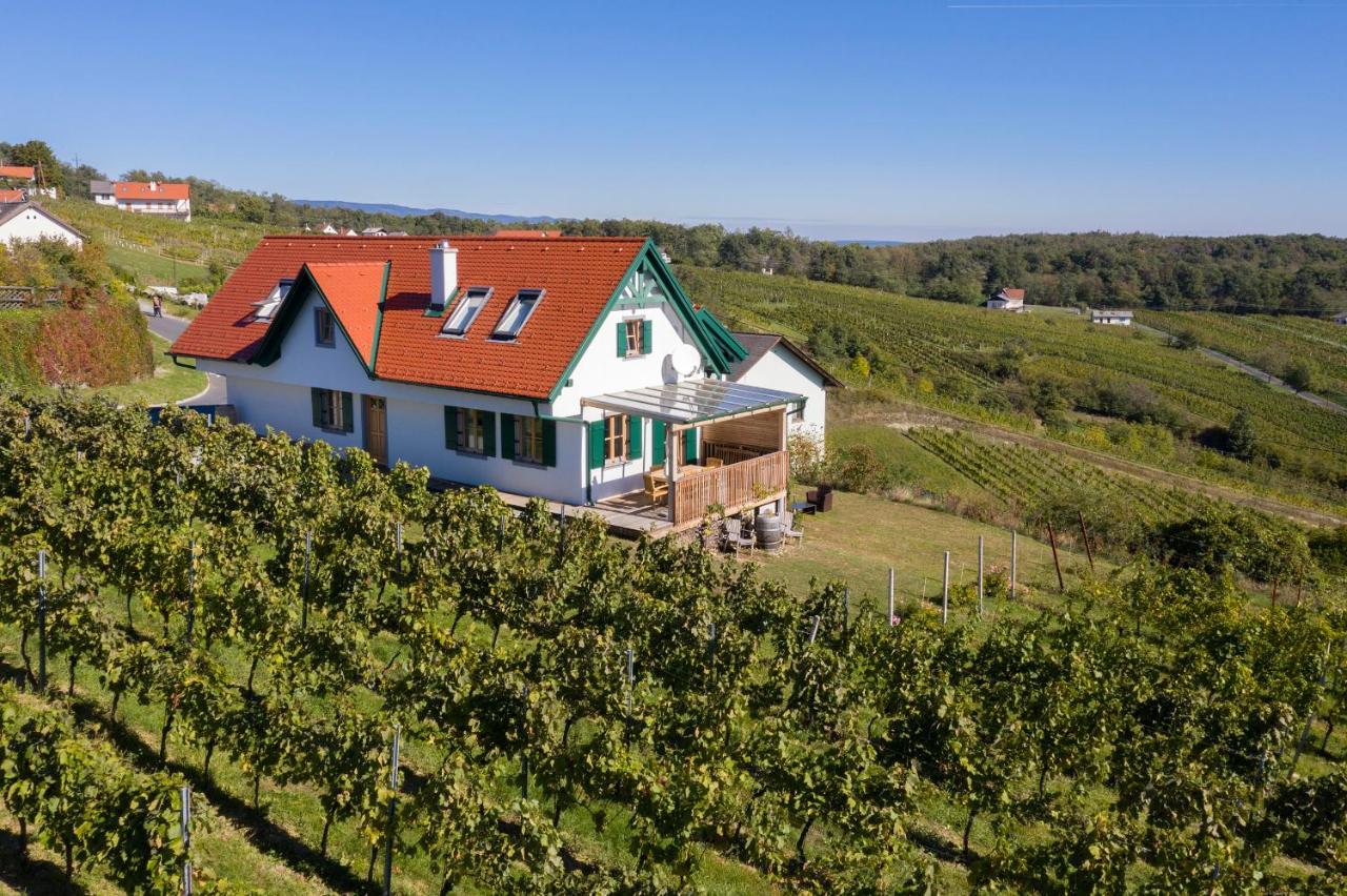 Kellerstoeckl Weinblick I Und II Villa Eisenberg an der Pinka Bagian luar foto