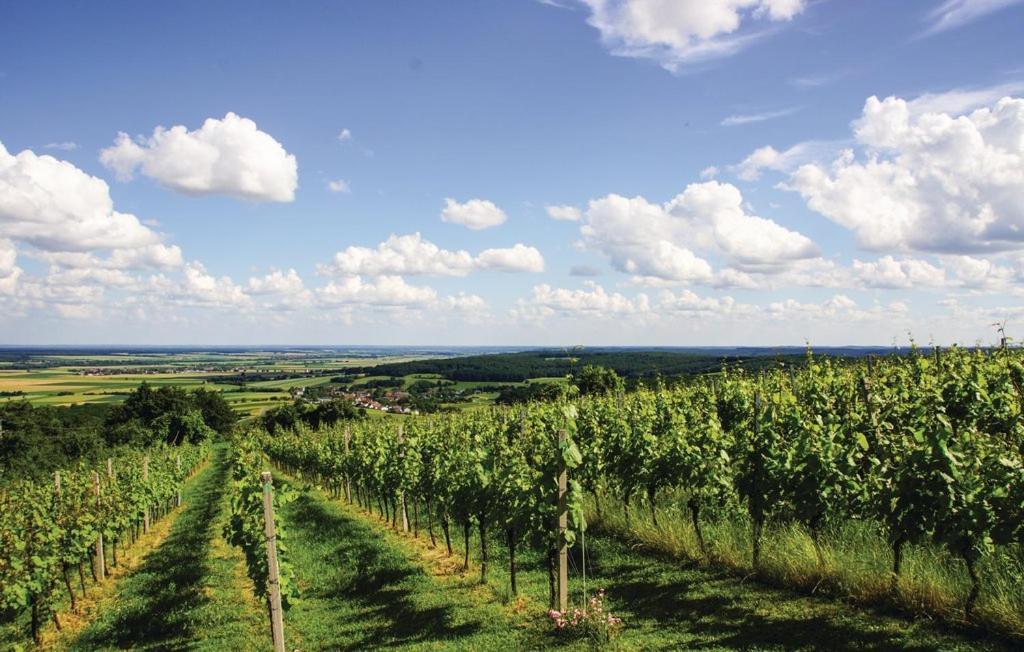 Kellerstoeckl Weinblick I Und II Villa Eisenberg an der Pinka Bagian luar foto