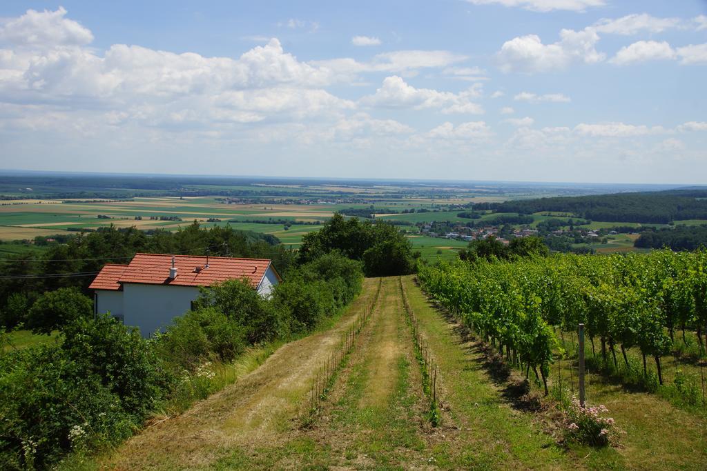 Kellerstoeckl Weinblick I Und II Villa Eisenberg an der Pinka Bagian luar foto